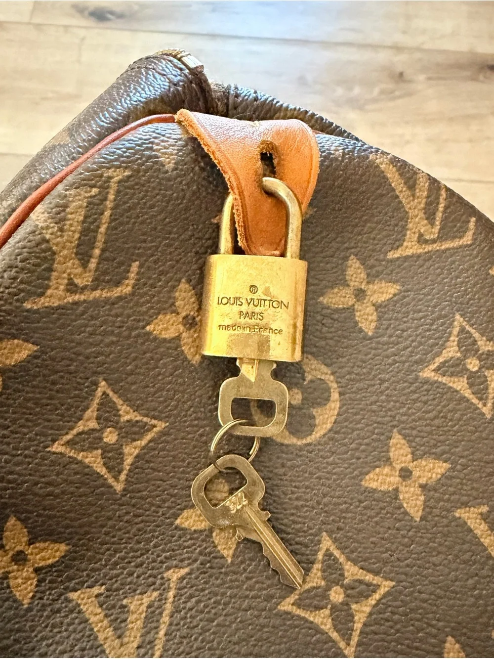 Louis Vuitton Monogram Canvas Top Handle Bag in Brown